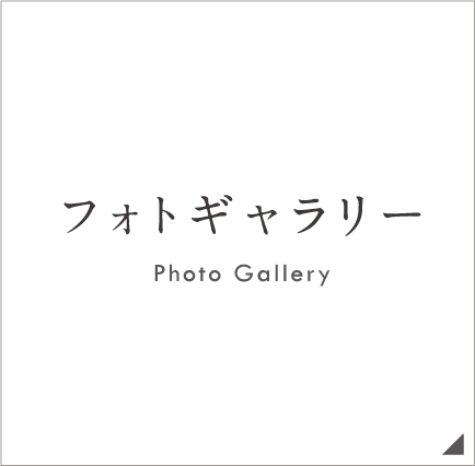 フォトギャラリー Photo Gallery