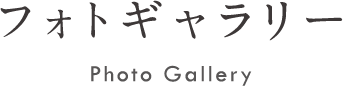 フォトギャラリー Photo Gallery